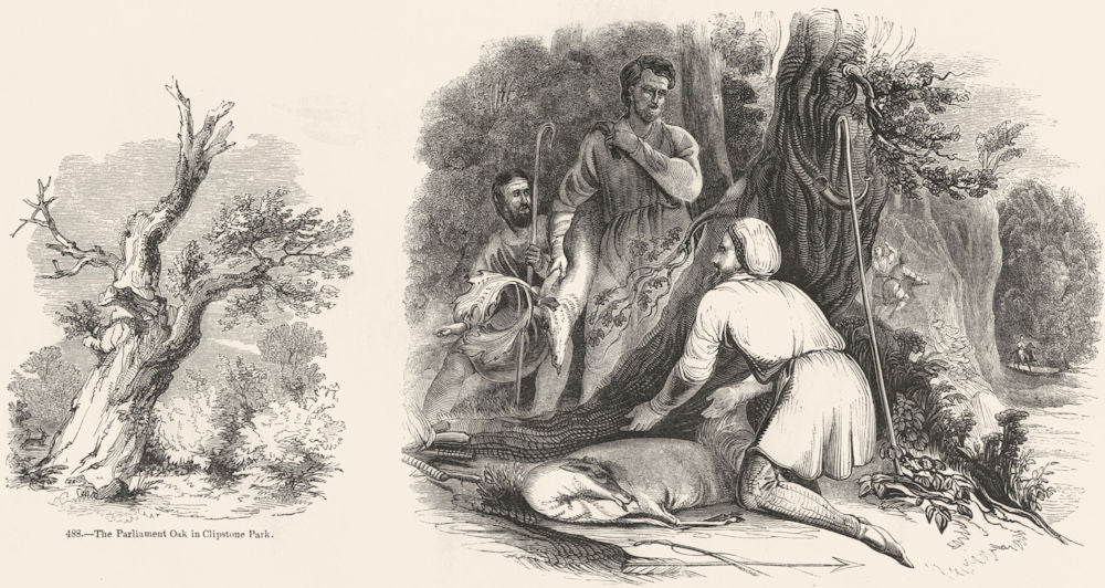 CLIPSTONE PARK. Parliament Oak; Will Scarlet, buck 1845 old antique print